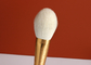 8 Pieces Essential Goat Hair Makeup Brushes Set WIth Golden Wire Drawing Ferrule Wood Handle